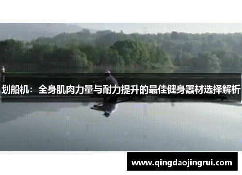 划船机：全身肌肉力量与耐力提升的最佳健身器材选择解析