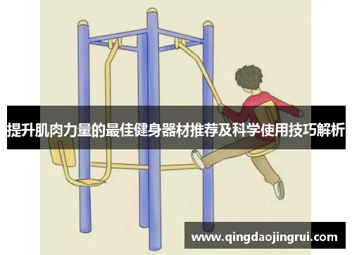 提升肌肉力量的最佳健身器材推荐及科学使用技巧解析