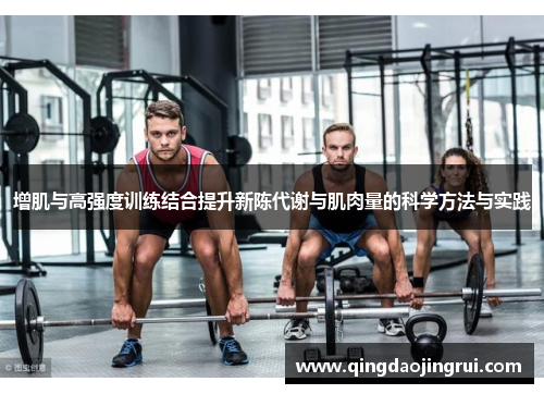 增肌与高强度训练结合提升新陈代谢与肌肉量的科学方法与实践