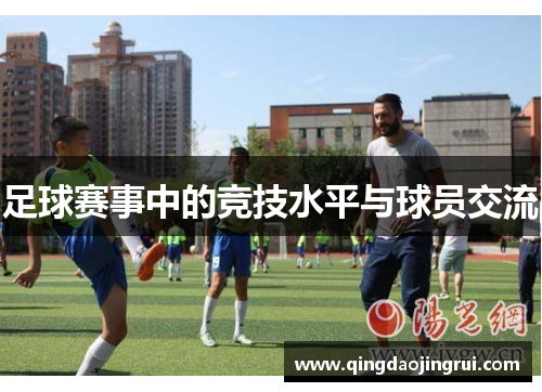 足球赛事中的竞技水平与球员交流